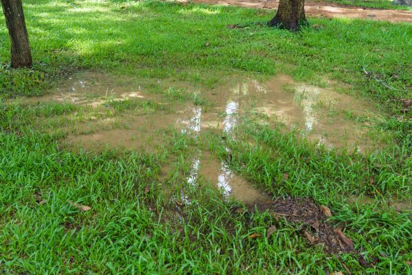 Cost of Storm Water Drainage Service in Green Valley