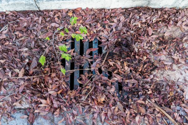 Cost of Yard Drain Unclogging in Green Valley
