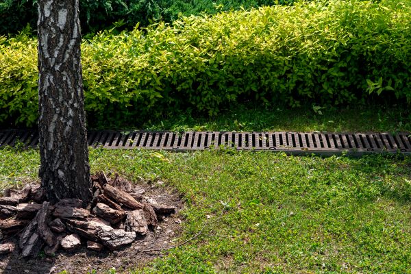 Cost of Yard Water Redirection in Green Valley
