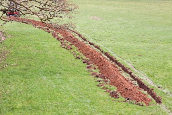 Cost of Swale Installation in Green Valley