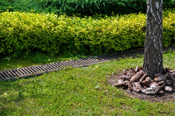 Cost of Residential Landscape Drainage in Green Valley