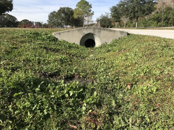 Cost of Swale Drainage Service in Green Valley