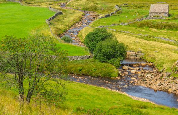 Cost of Swale Repair in Green Valley